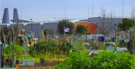 urban-gardening-florence